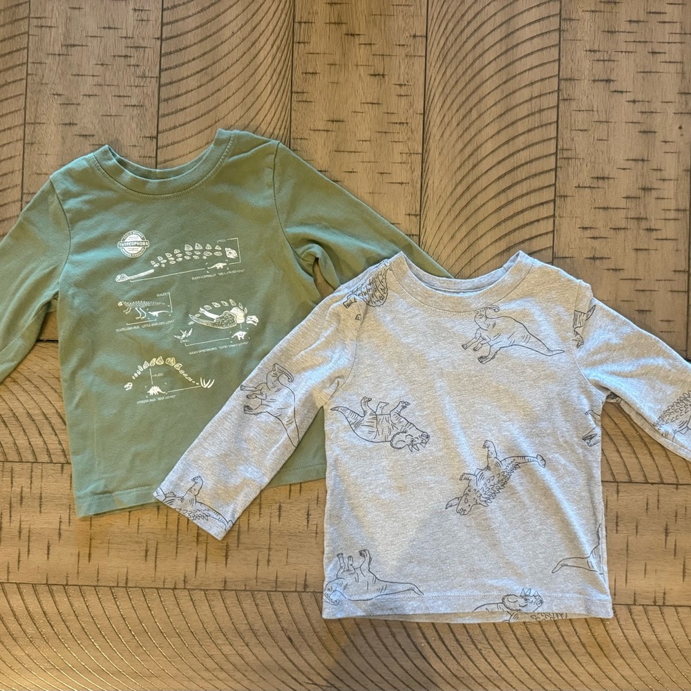 Cat & Jack Long Sleeve Dino Tees - coordinated boy twins